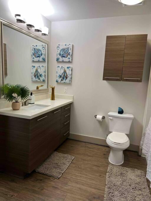 Lovely 1 Bedroom Apt Midtown Htx Houston Kültér fotó
